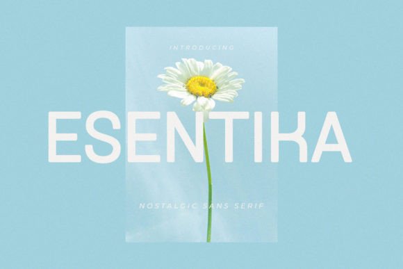 Esentika: A Modern Sans Serif Font for Web Design